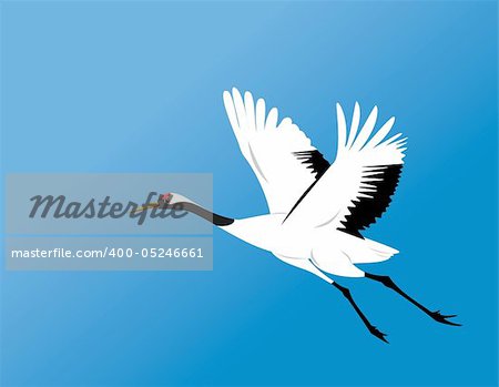 chinese red-crowned crane fly in blue sky vector