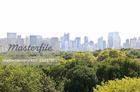 Manhattan skyline and the Central Park in New York City USA