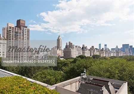 Manhattan skyline and the Central Park in New York City USA