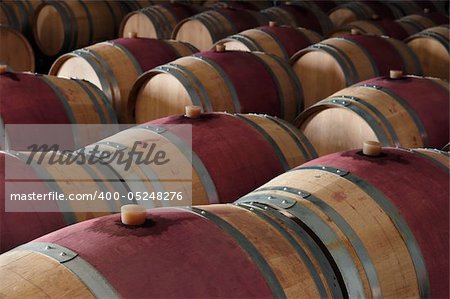 Oak wine barrels in a modern winery, Alentejo, Portugal