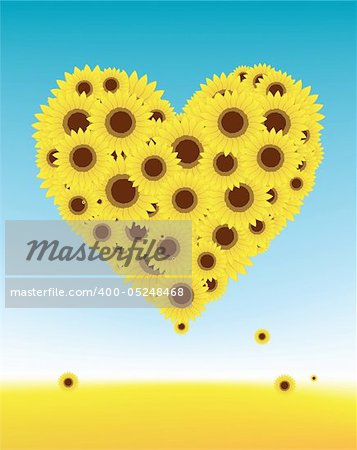 Sunflowers heart shape for your design, summer field