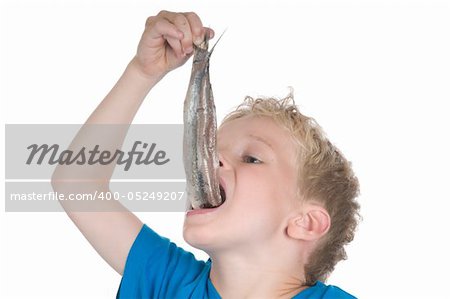 Little boy eating a herring. It is a Dutch tradition to eat a herring like this. In Holland they also call a herring a Maatje.
