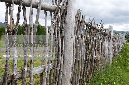 Fence Viking Museum