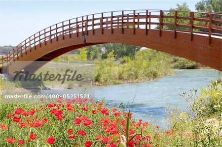 red poppies flowers meadow river wooden bridge Ribarroja Valencia Spain