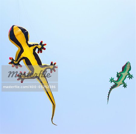 Reptile kites on the sky. Fun collection.