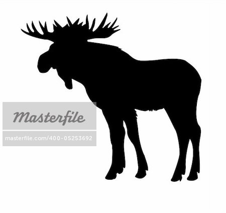 silhouette moose isolated on white background
