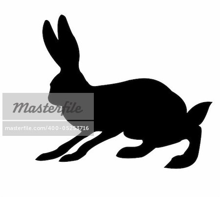 silhouette of the rabbit isolated on white background