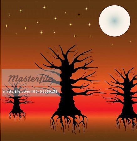 Black trees with roots on a night background
