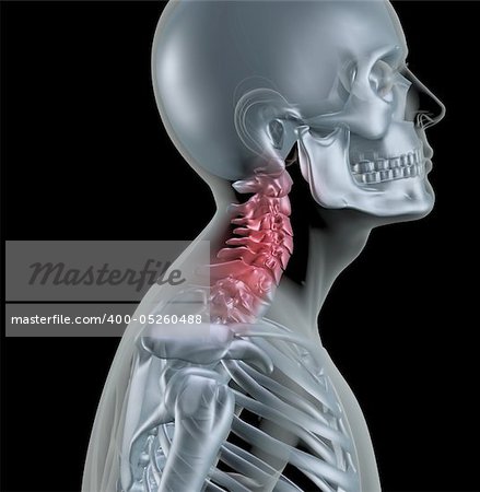 3D render of a skeleton with neck bones highlighted