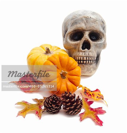 Halloween still life of miniature pumpkins, autumn leaves, pine cones, and skull on white background