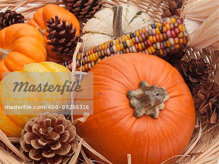 Close-up of yellow and orange decorative pumpkins with Indian corn and pine cones in straw. Good for Thanksgiving.