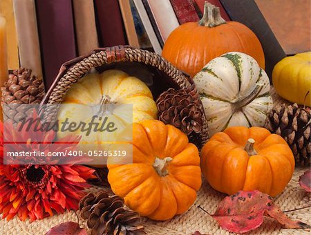 Decorative small pumpkins and pine cones with row of old books behind.