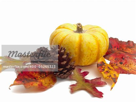 Ornamental yellow pumpkin surrounded by real autumn leaves and pine cones on white background