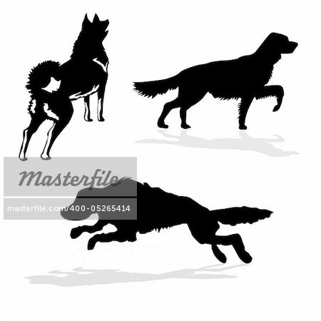 vector silhouette hunt dogs on white background