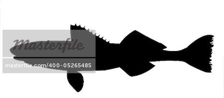 vector silhouette of fish on white background