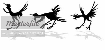 vector silhouette of the funny cock