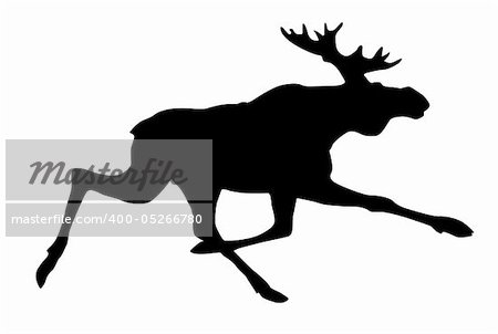 vector silhouette moose on white background