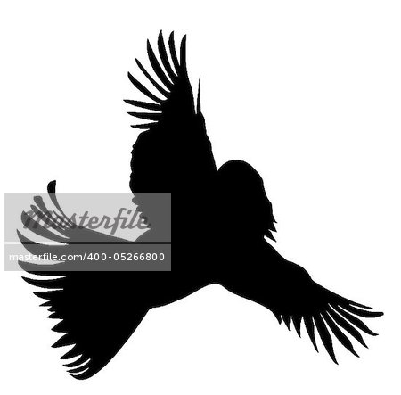 vector silhouette of the bird with head of the woman