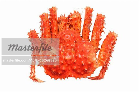 Prepared Alaskan king carb in isolated white background