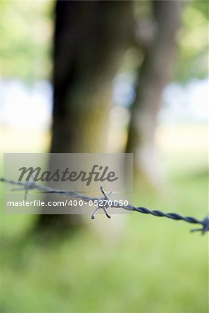 Barbed wire protecting a green meadow