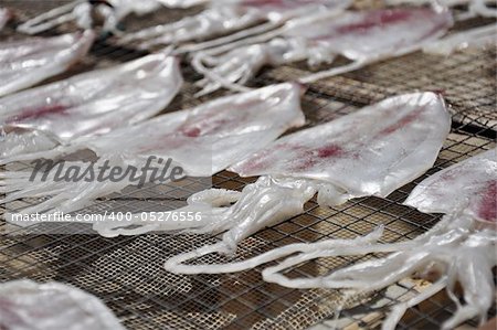 Squids placed in the strong sunshine to dry at the Cham Island, Vietnam