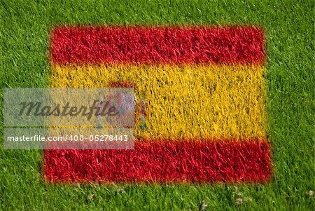 flag of spain on grass with spray