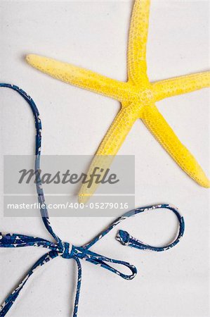 Summer Background Image with a Yellow Starfish and Baithing Suit in a Bow.
