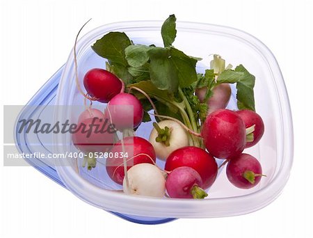 Leftover Easter Radishes in a Plastic Container Isolated on White.