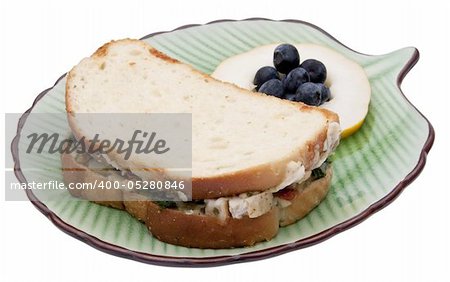 Cheezy panini sandwich on a plate with fruit garnish isolated on white with a clipping path.