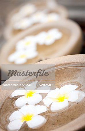 Beautiful and decorative tropical Frangipani flowers floating in water