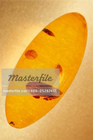 A piece of amber. A front flash and white paper used for shooting