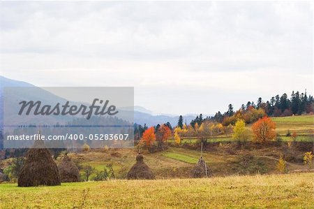 Beautiful autumnal view of Carpathian Mountains. Ukraine