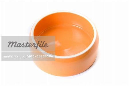 Bowl for pets isolated on a white background