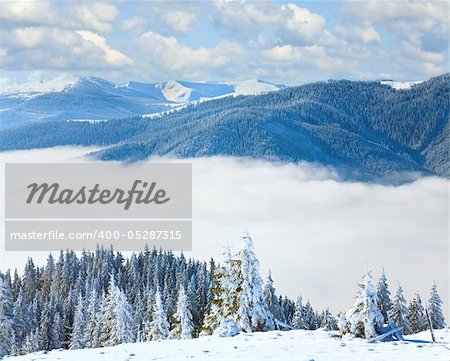 Winter calm mountain landscape with rime and snow covered spruce trees (view from Bukovel ski resort to Svydovets ridge, Ukraine). Composite image.