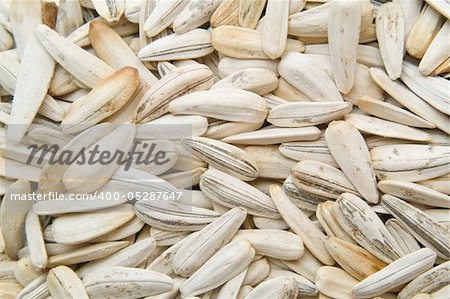 white sunflower  seed, background textured