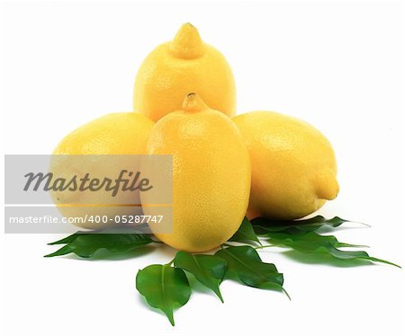 Lemon on a white background