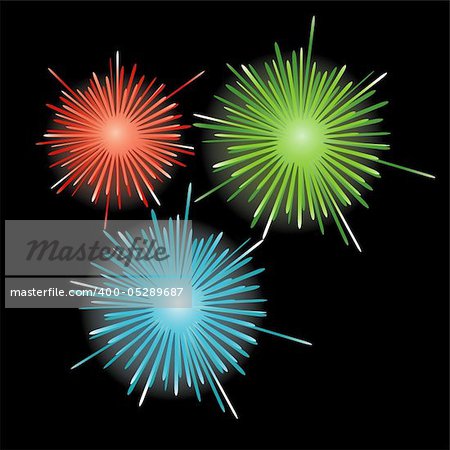 Firework in honour of Independence Day. Vector Illustration