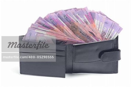 Wallet with Banknotes on White Background