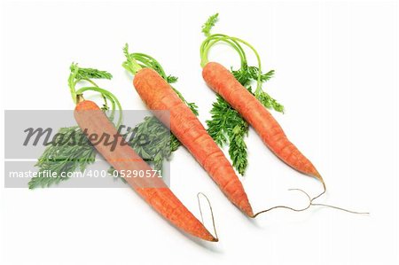 Carrots with Leaves on White Background