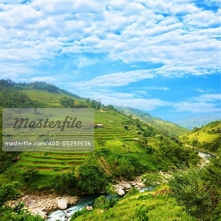 Rice field terraces at nothern Vietnam