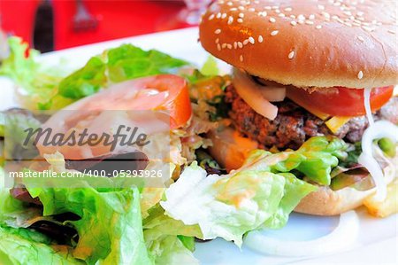 Cheese burger-American cheese burger with fresh salad