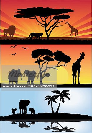 vector illustration of three different african landscapes with animals