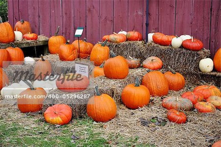 Pumpkins