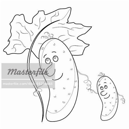 ?ucumber family, baby and parent with leave, contour