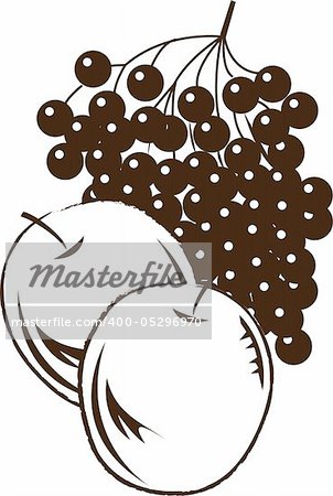 Stock Vector Illustration:  Apple & Grape - vector