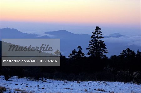 Landscape of snow mountains and woods in winter