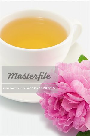 Herbal tea in white cup with pink rose close-up