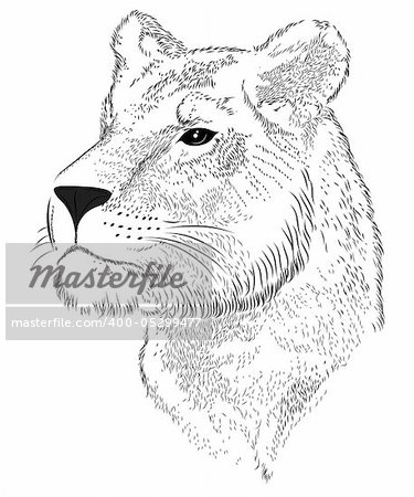 Abstract Lioness in the form of a tattoo