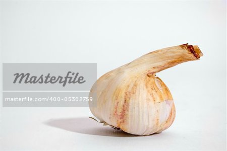 Garlic. A head of garlic isolated on a white background