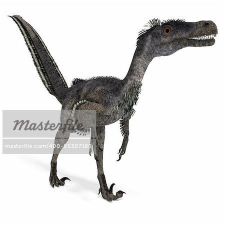 Dinosaur Velociraptor. 3D rendering with clipping path and shadow over white